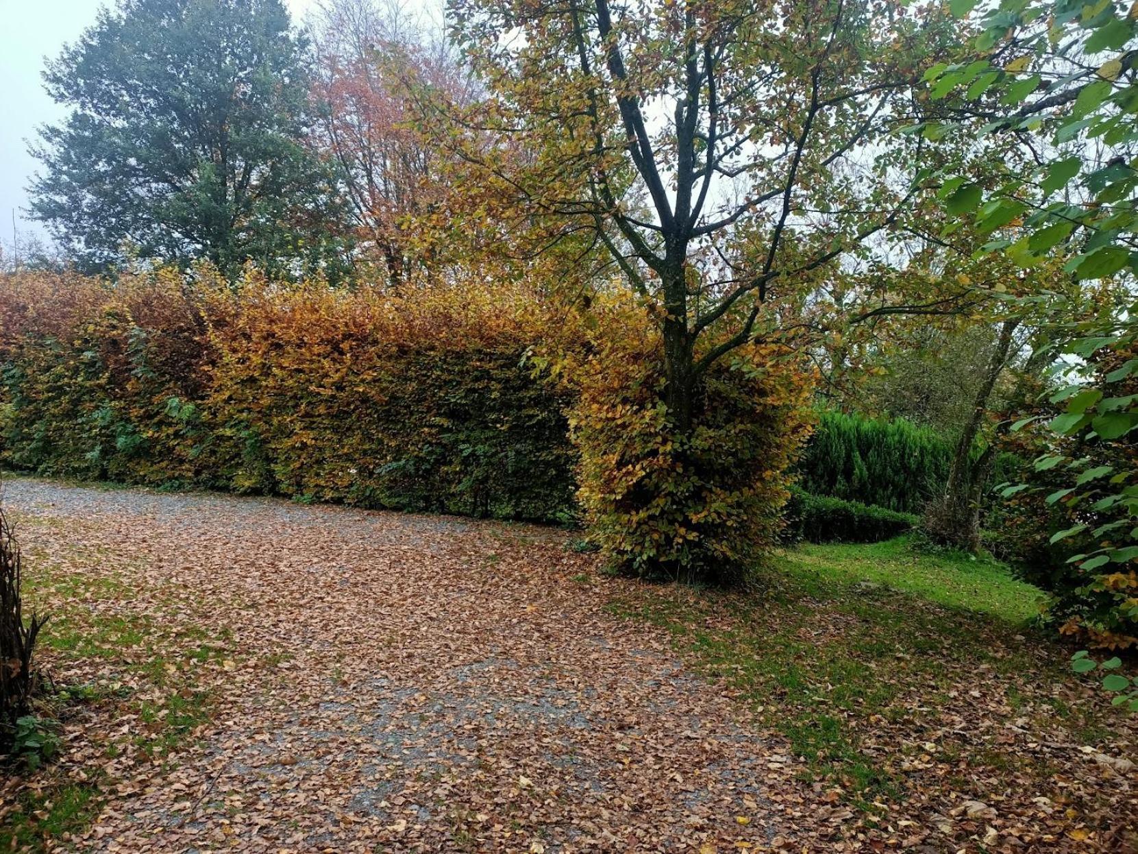 Dri Les Courtils La-Roche-en-Ardenne Exterior foto